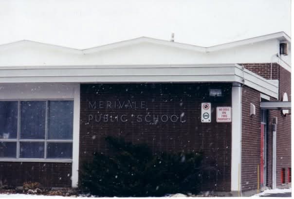Merivale Public School: The Place That Shaped My Childhood Adventures